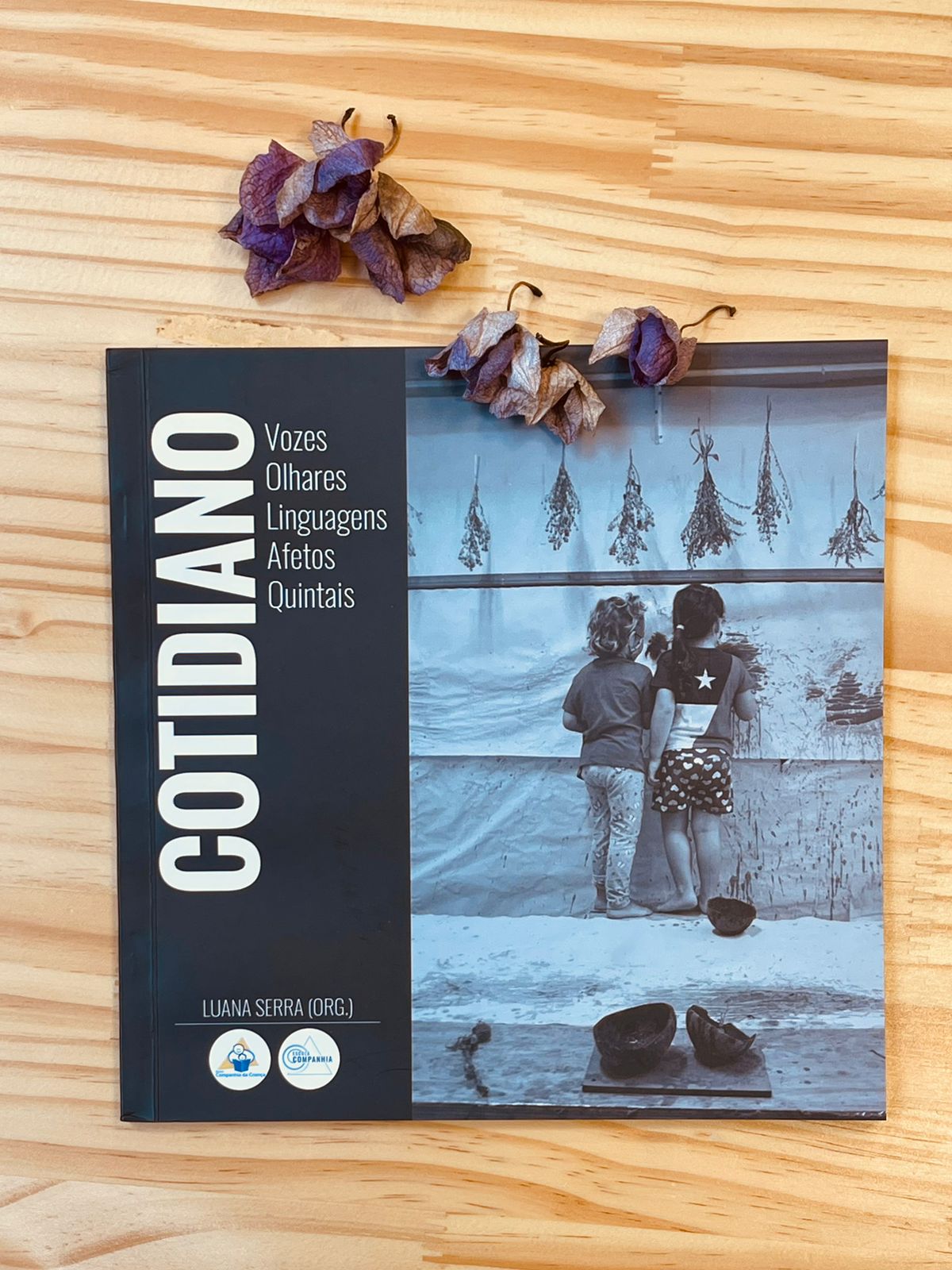 Livro Cotidiano